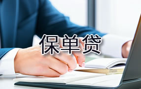成都保单贷